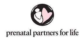 logo-1